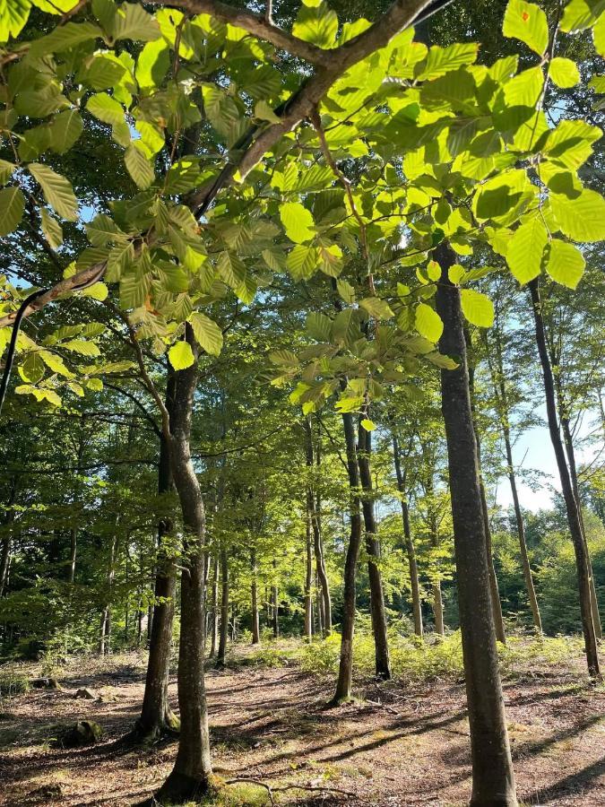 Naturglamping 크리스티안스타드 외부 사진